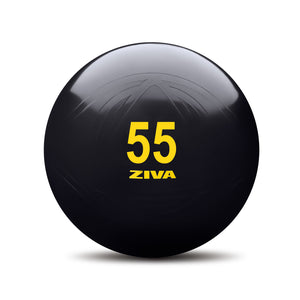 Fitball ZIVA Clásico 55cm Negro
