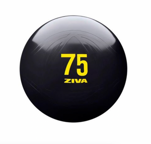 Fitball ZIVA Clásico 55cm Negro