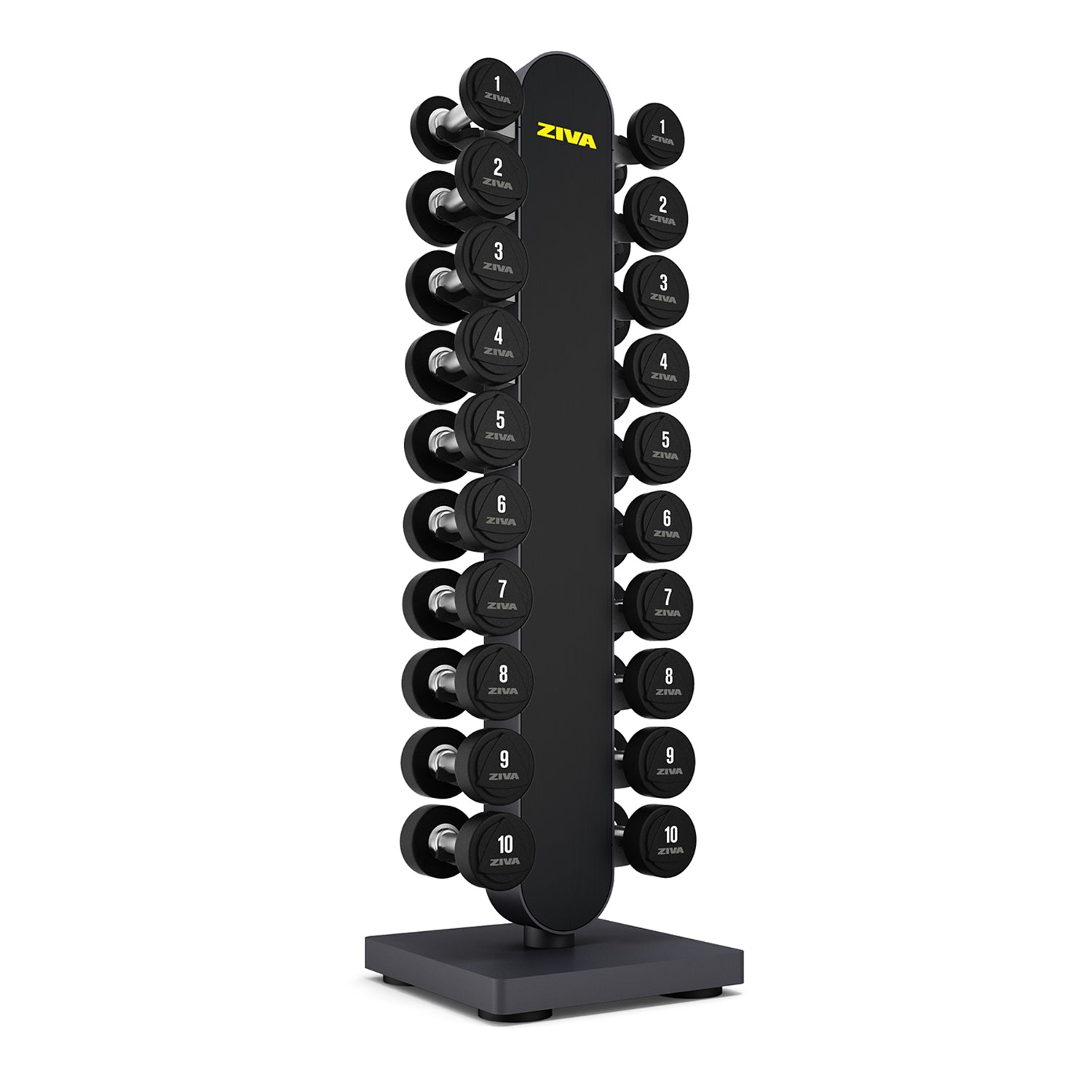 Soporte vertical para mancuernas de estudio de 10 kg